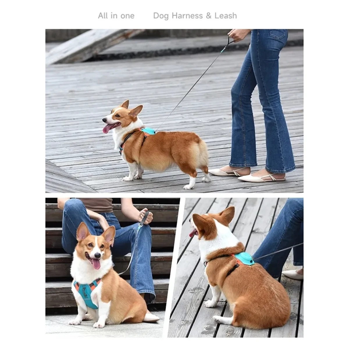 🐶 HLZS 2-in-1 No Pull Dog Harness with Retractable Leash – Comfort, Control & Freedom in One!