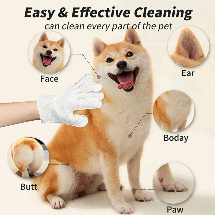 🧤 Daily Care Pet Glove
