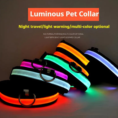 🐶 LED Safety Dog Collar – Glow-in-the-Dark & Flashing Night Light