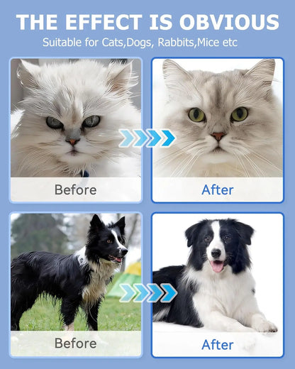 🧤 Daily Care Pet Glove