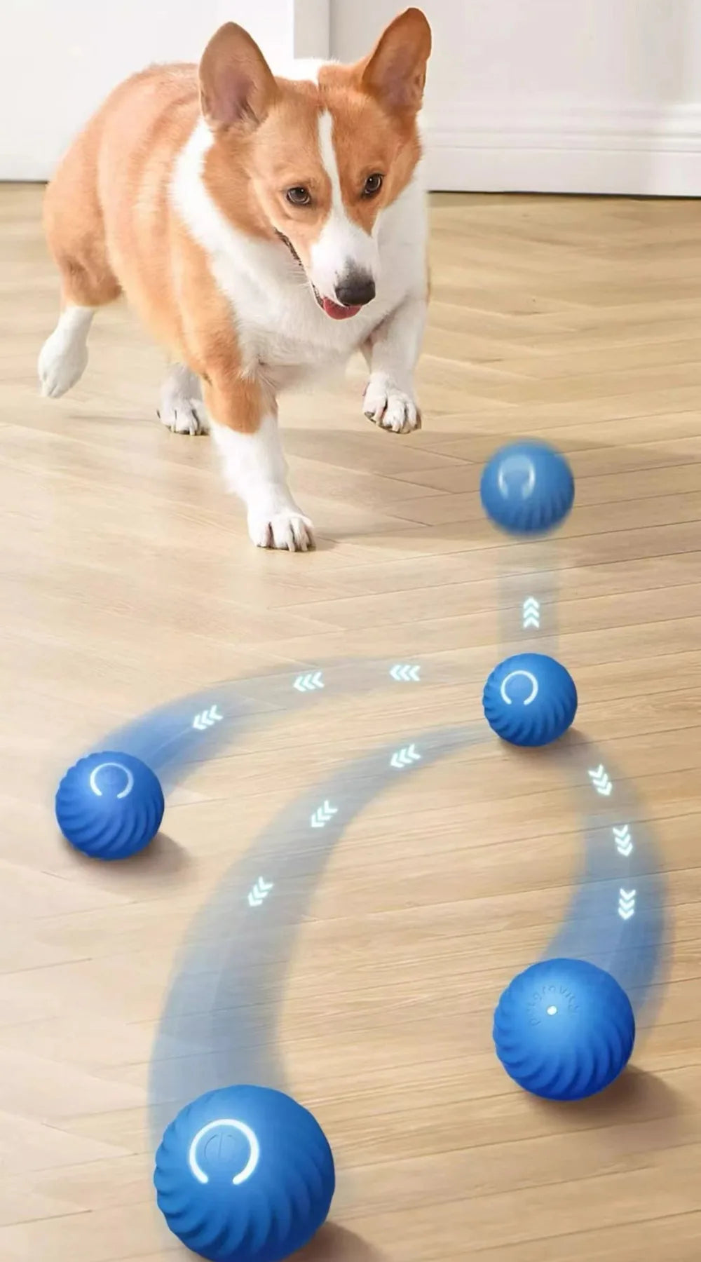 🤖 Interactive Smart Rolling Dog Ball – Motion-Activated Fun