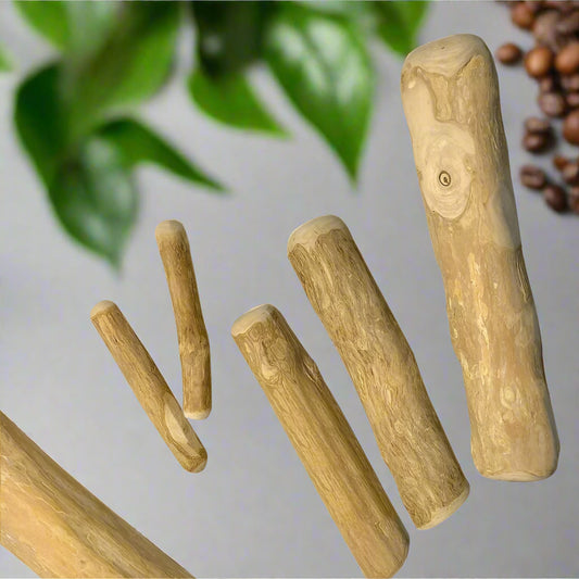 Coffee Wood Chew Stick – Natural & Long-Lasting