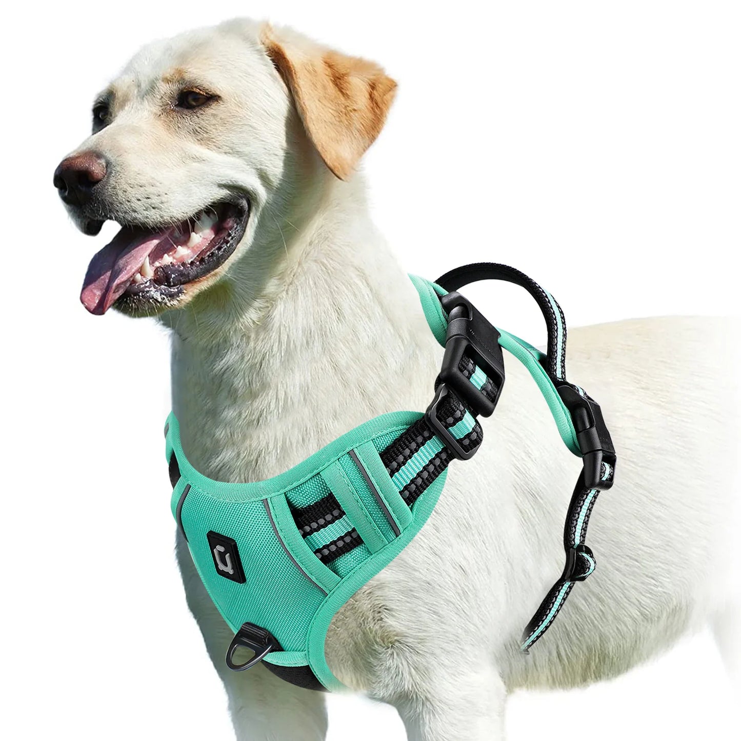 🐕 No-Pull Padded Dog Vest with Control Handle