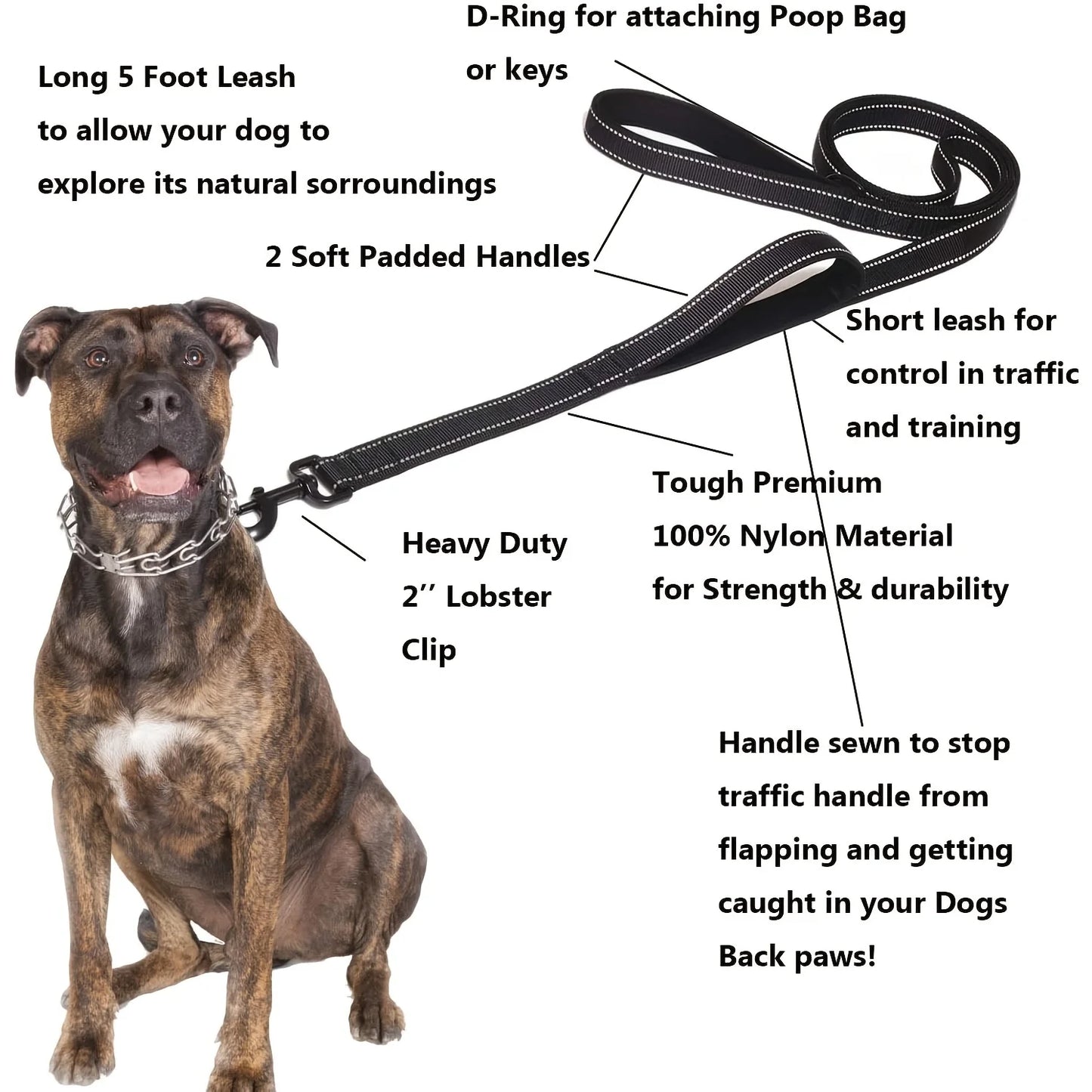 🐕 Heavy-Duty Dual Handle Dog Leash – Training & Travel Lead
