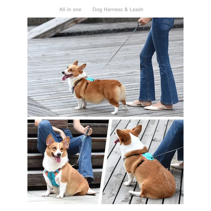 🐶 HLZS 2-in-1 No Pull Dog Harness with Retractable Leash – Comfort, Control & Freedom in One!