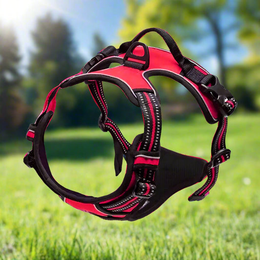 🐕 Leather Collar & Harness Set – Stylish Essentials for Small & Medium Dogs