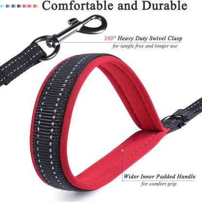 🐕 Heavy-Duty Dual Handle Dog Leash – Training & Travel Lead