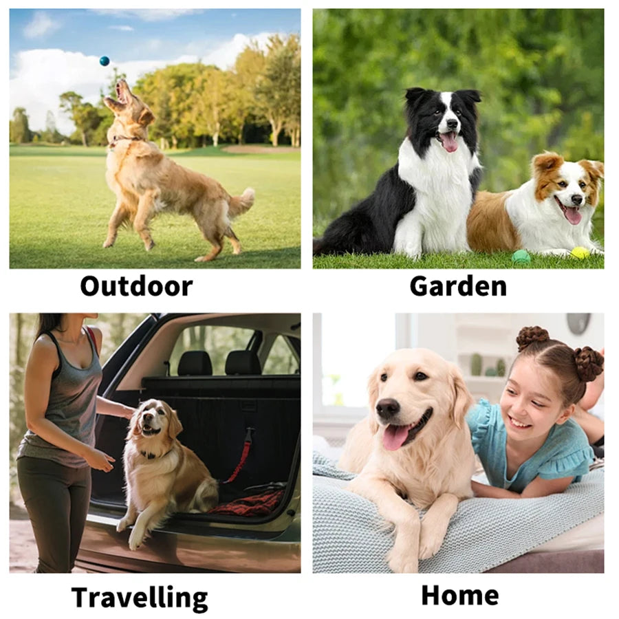 🧤 Daily Care Pet Glove