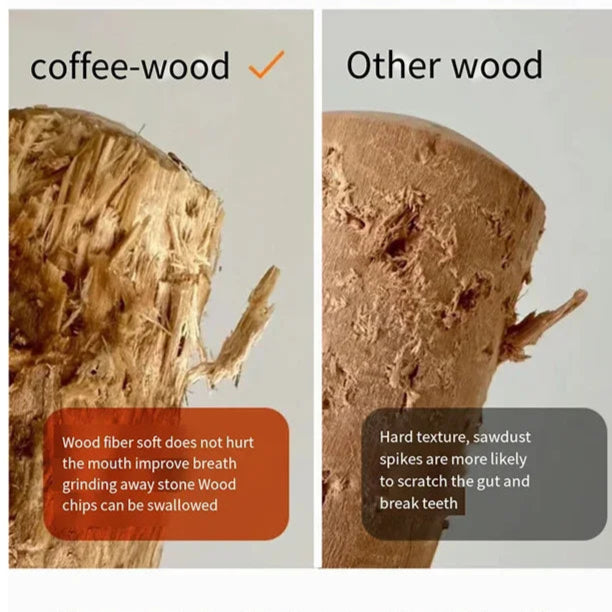 Coffee Wood Chew Stick – Natural & Long-Lasting