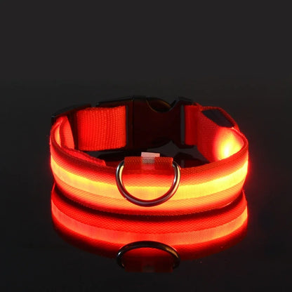🐶 LED Safety Dog Collar – Glow-in-the-Dark & Flashing Night Light