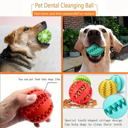 🎾 Molar Toy Ball – Bite-Resistant & Teeth-Cleaning Play