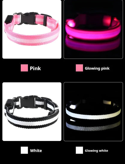 🐶 LED Safety Dog Collar – Glow-in-the-Dark & Flashing Night Light