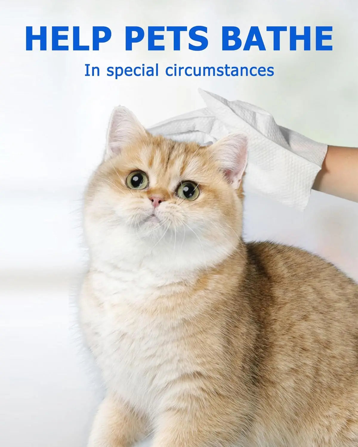 🧤 Daily Care Pet Glove