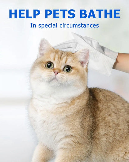 🧤 Daily Care Pet Glove