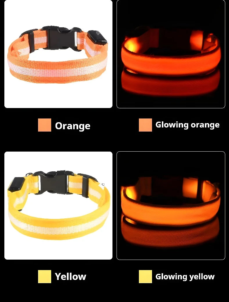 🐶 LED Safety Dog Collar – Glow-in-the-Dark & Flashing Night Light
