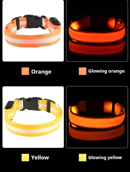 🐶 LED Safety Dog Collar – Glow-in-the-Dark & Flashing Night Light