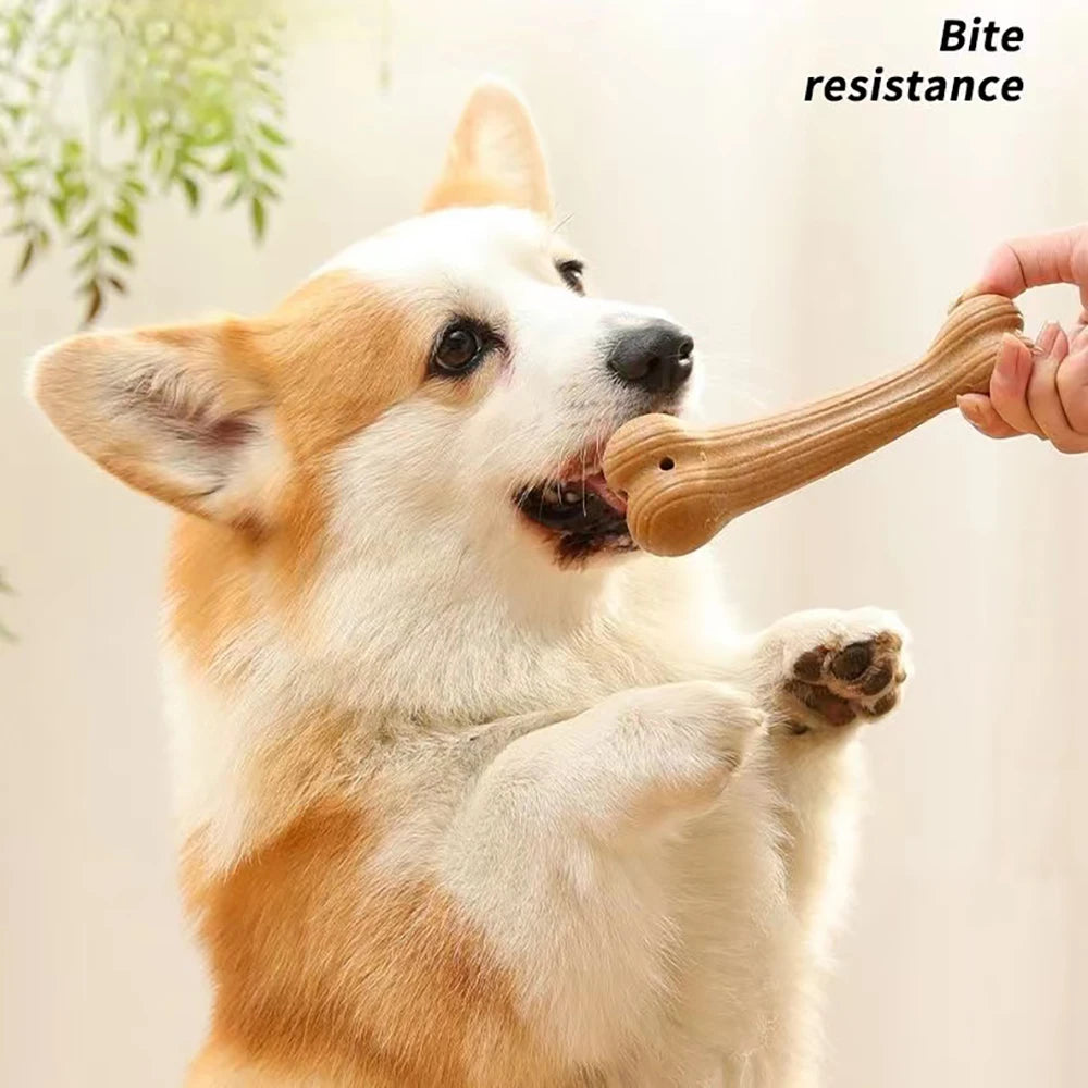 🦴 Pine Wood Chew Stick – Natural, Bite-Resistant Bone Toy