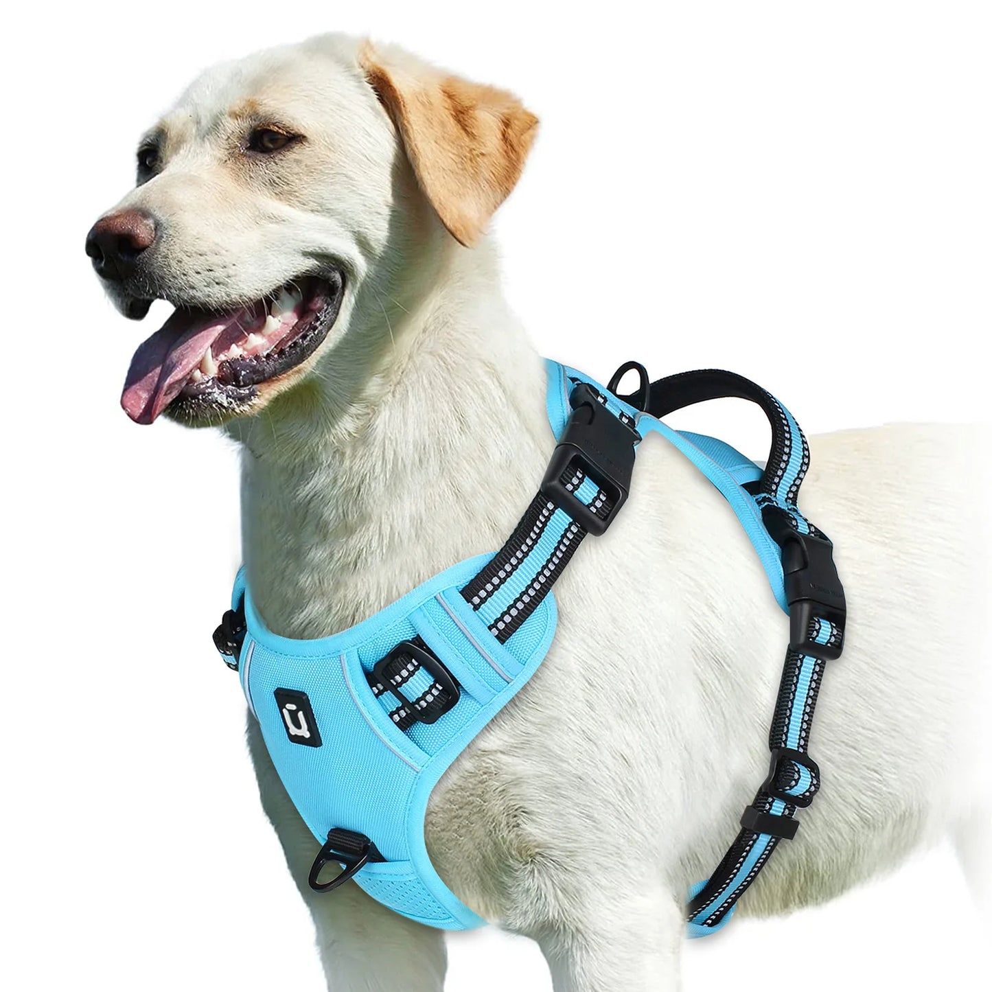 🐕 No-Pull Padded Dog Vest with Control Handle