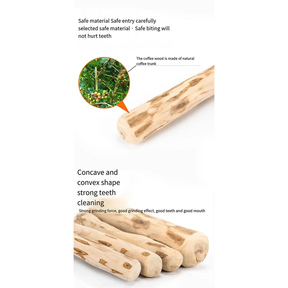 Coffee Wood Chew Stick – Natural & Long-Lasting