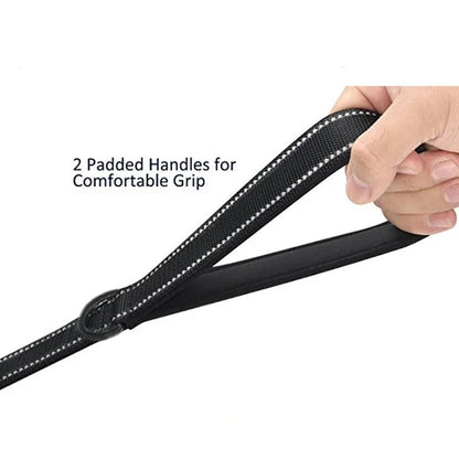 🐕 Heavy-Duty Dual Handle Dog Leash – Training & Travel Lead