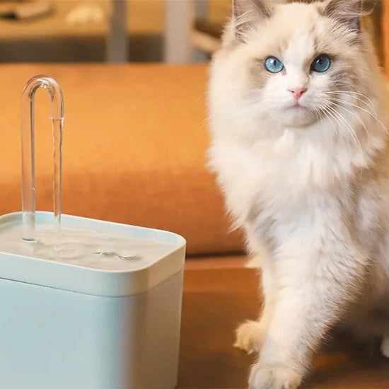 💧 Electric Water Fountain – 1.5 L Filtered Pet Drinker