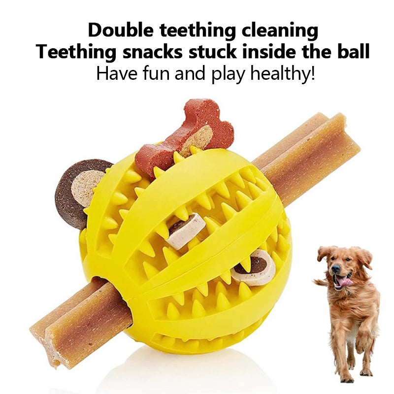 🎾 Molar Toy Ball – Bite-Resistant & Teeth-Cleaning Play