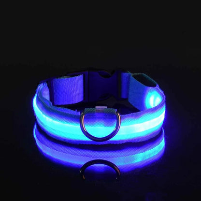 🐶 LED Safety Dog Collar – Glow-in-the-Dark & Flashing Night Light