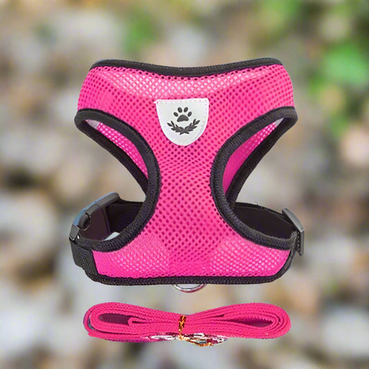 🐕 Adjustable Reflective Mesh Harness with Lead – Safe and Breathable