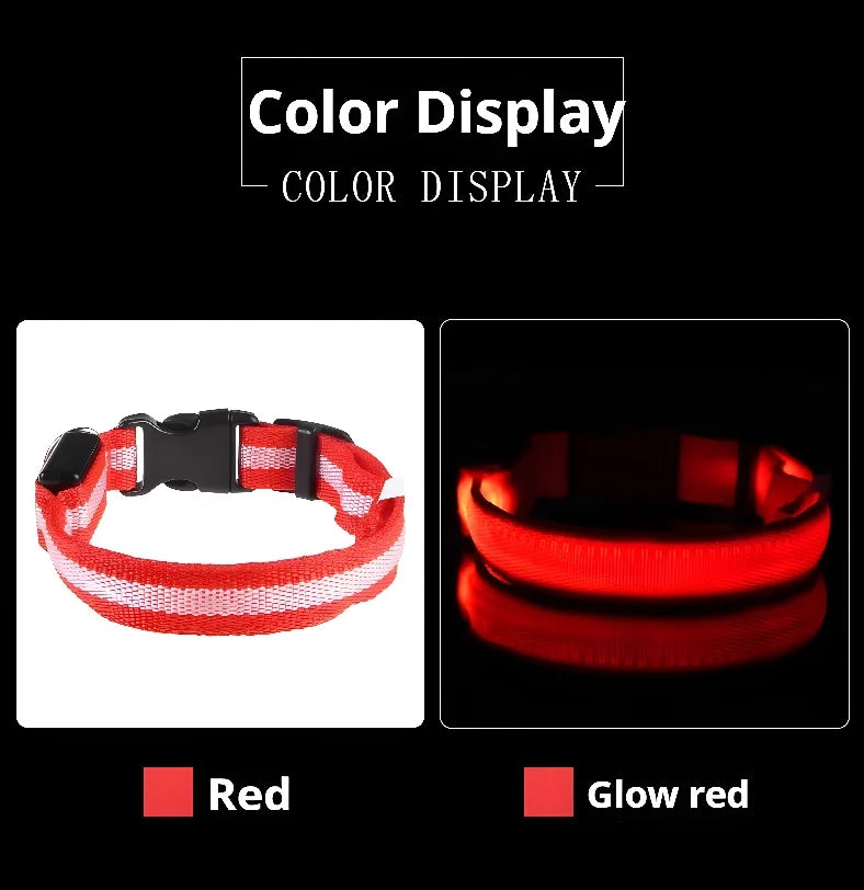 🐶 LED Safety Dog Collar – Glow-in-the-Dark & Flashing Night Light