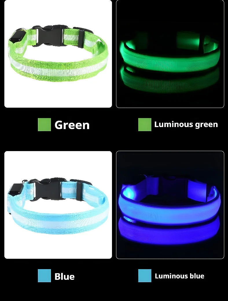 🐶 LED Safety Dog Collar – Glow-in-the-Dark & Flashing Night Light