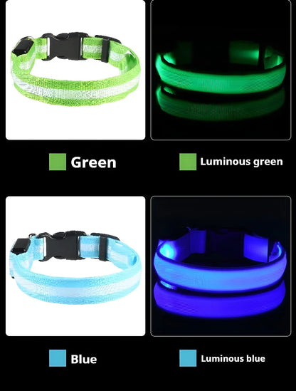 🐶 LED Safety Dog Collar – Glow-in-the-Dark & Flashing Night Light