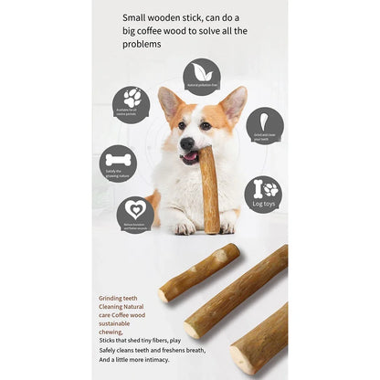 Coffee Wood Chew Stick – Natural & Long-Lasting