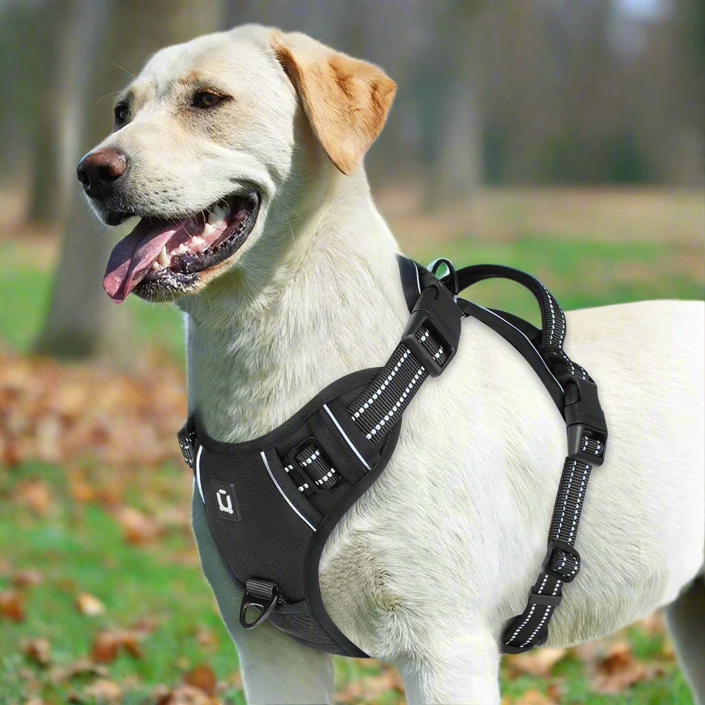 🐕 No-Pull Padded Dog Vest with Control Handle