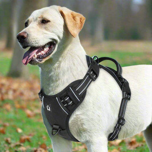 🐕 No-Pull Padded Dog Vest with Control Handle