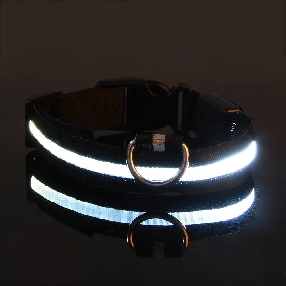 🐶 LED Safety Dog Collar – Glow-in-the-Dark & Flashing Night Light