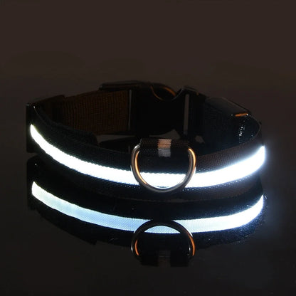 🐶 LED Safety Dog Collar – Glow-in-the-Dark & Flashing Night Light
