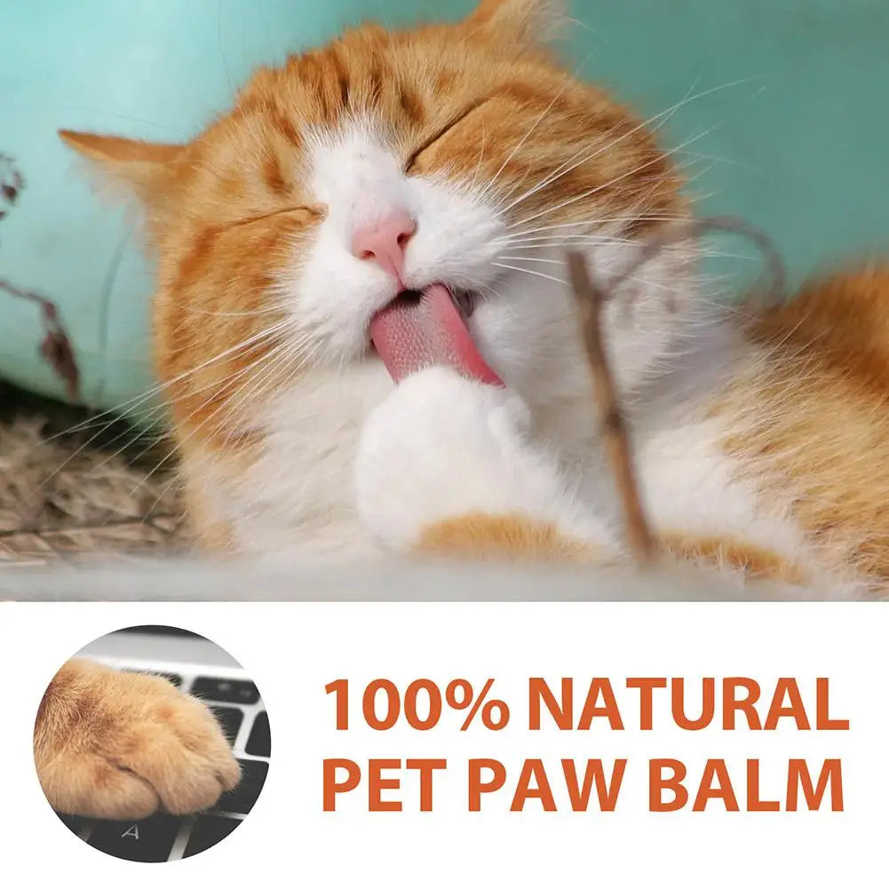🐾 Claw & Pad Moisturising Care Cream – 30 g Soothing Balm