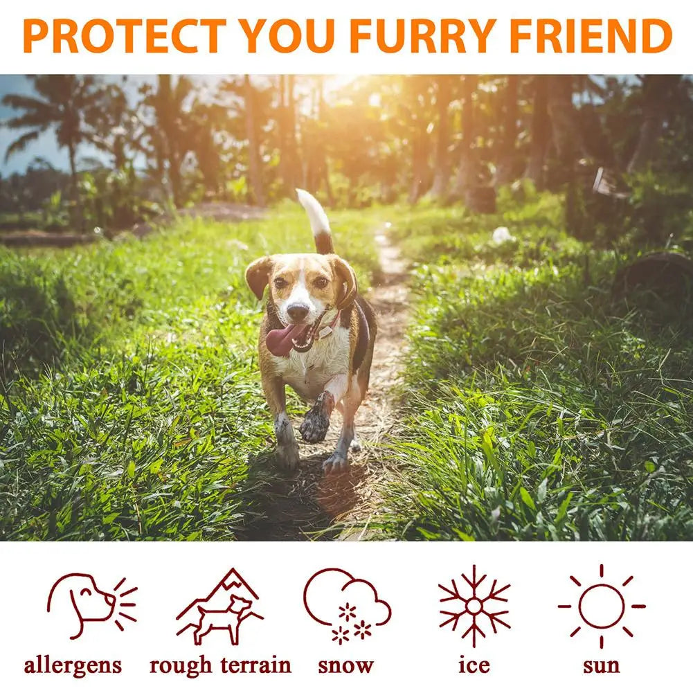 🐾 Claw & Pad Moisturising Care Cream – 30 g Soothing Balm