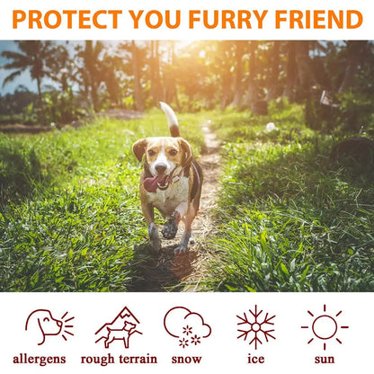 🐾 Claw & Pad Moisturising Care Cream – 30 g Soothing Balm