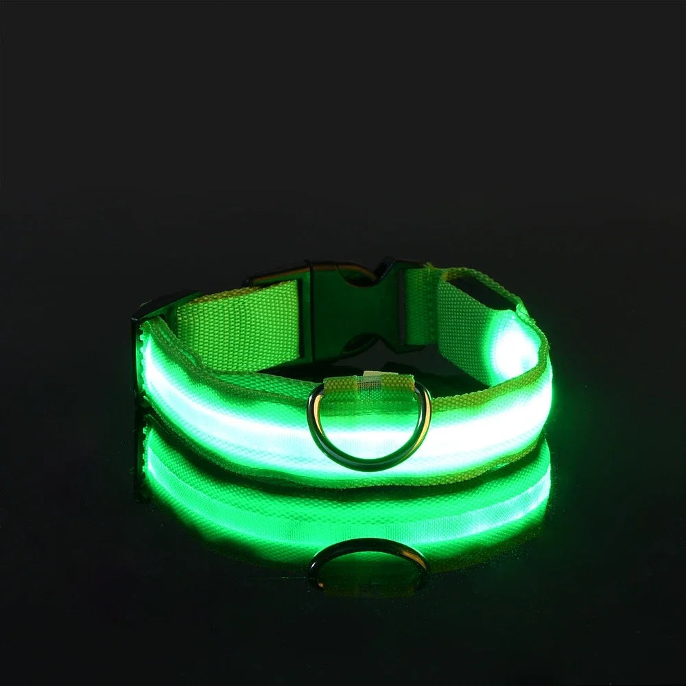 🐶 LED Safety Dog Collar – Glow-in-the-Dark & Flashing Night Light