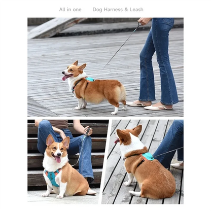 🐶 HLZS 2-in-1 No Pull Dog Harness with Retractable Leash – Comfort, Control & Freedom in One!
