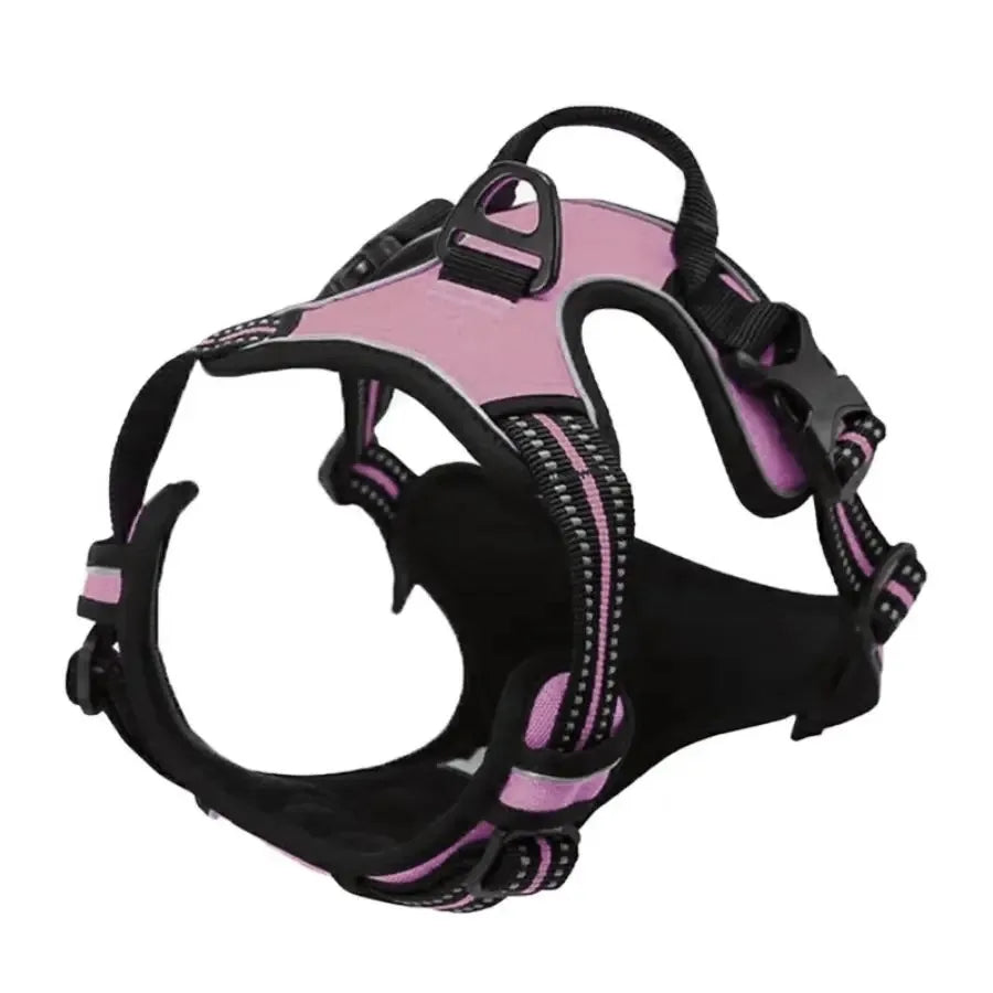 🐕 Leather Collar & Harness Set – Stylish Essentials for Small & Medium Dogs
