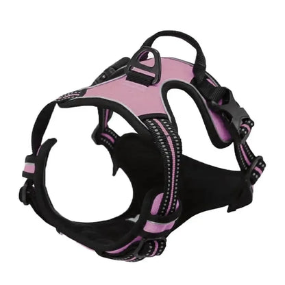 🐕 Leather Collar & Harness Set – Stylish Essentials for Small & Medium Dogs
