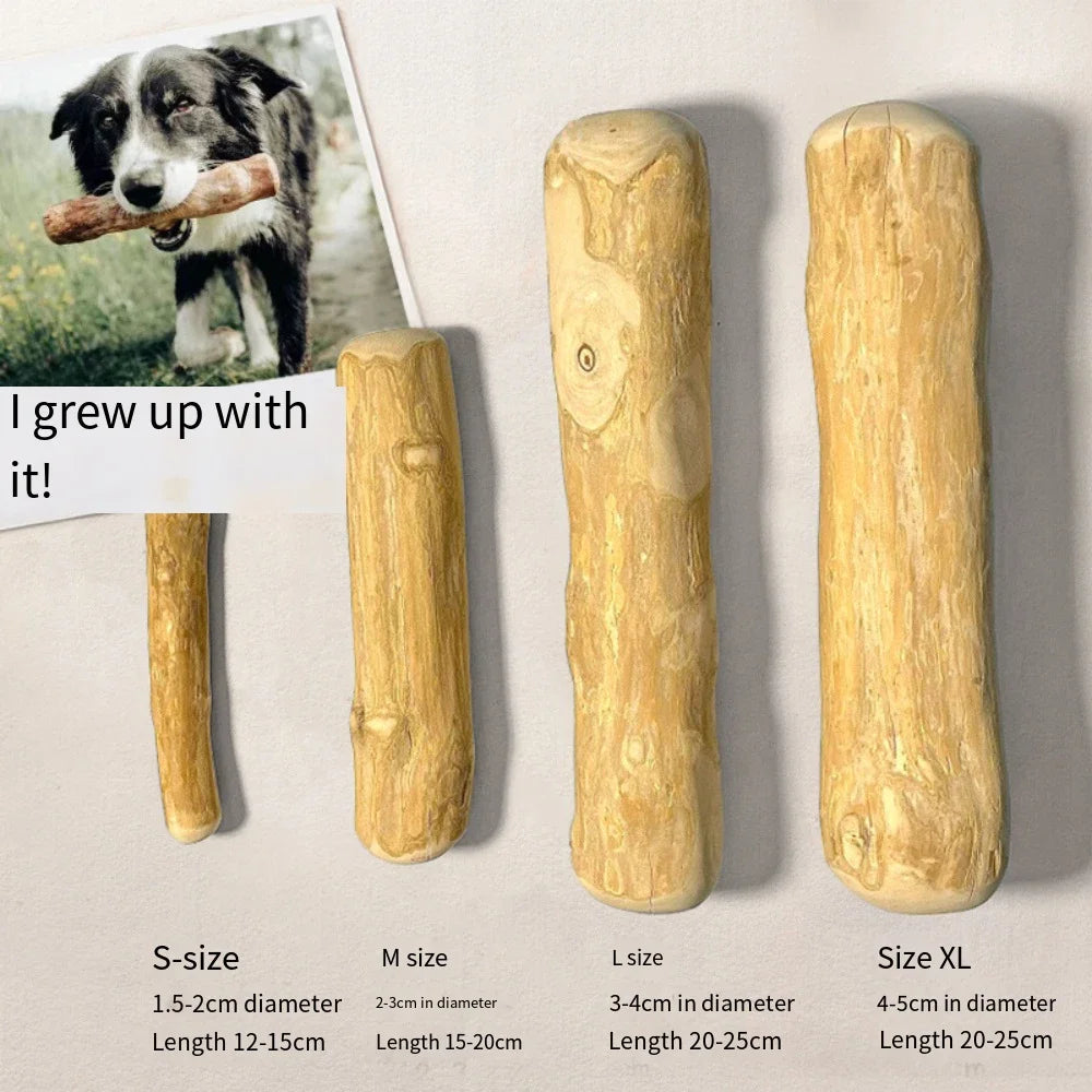 Coffee Wood Chew Stick – Natural & Long-Lasting
