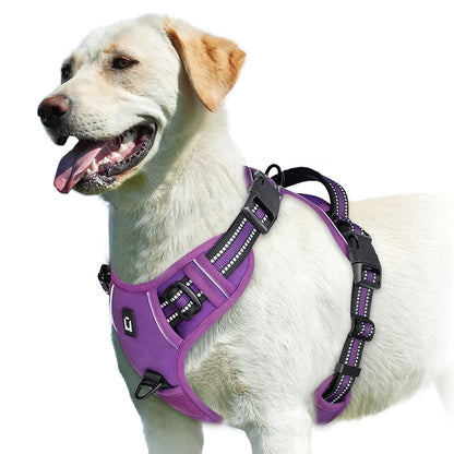 🐕 No-Pull Padded Dog Vest with Control Handle