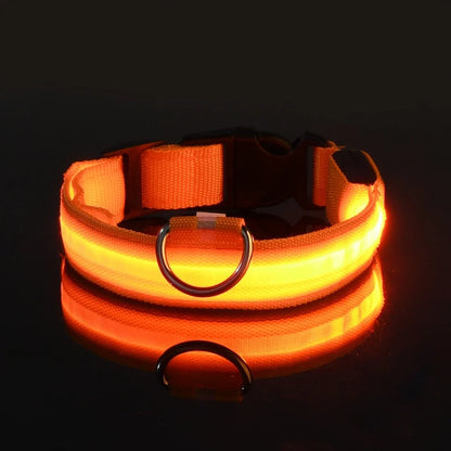 🐶 LED Safety Dog Collar – Glow-in-the-Dark & Flashing Night Light