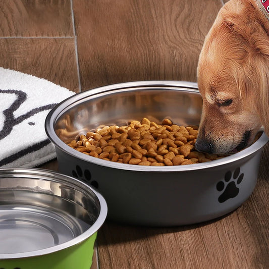 🥣 Stainless Steel Pet Bowl – Non-Slip & Durable