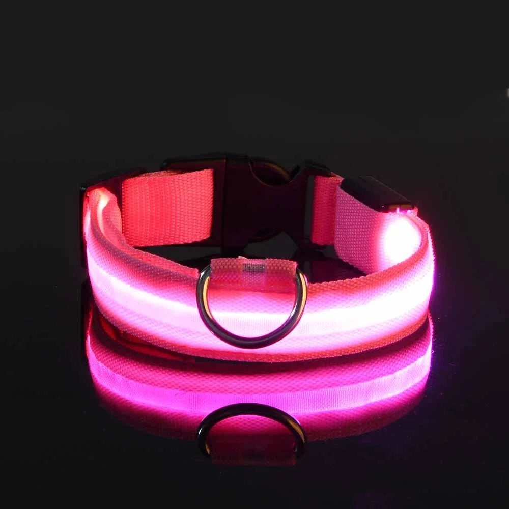 🐶 LED Safety Dog Collar – Glow-in-the-Dark & Flashing Night Light