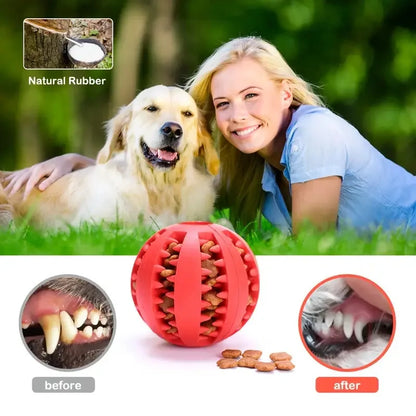 🎾 Molar Toy Ball – Bite-Resistant & Teeth-Cleaning Play