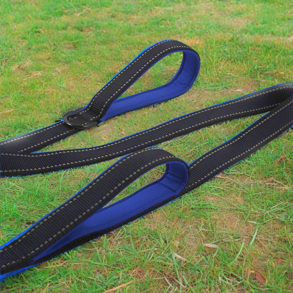🐕 Heavy-Duty Dual Handle Dog Leash – Training & Travel Lead